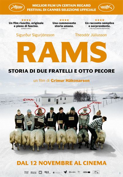 Rams - Storia di due fratelli e otto pecore - Rassegna "Film e Film"